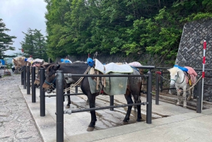 東京発：富士山5合目と忍野八海への日帰りツアー