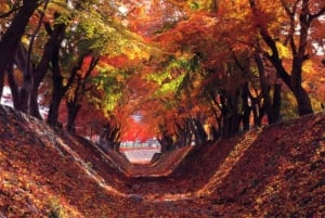 From Tokyo: Mt. Fuji 5th station and Oshino Hakkai Day Trip