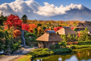 From Tokyo: Mt. Fuji 5th station and Oshino Hakkai Day Trip