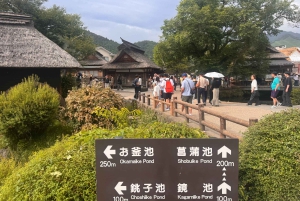 From Tokyo: Mt. Fuji 5th station and Oshino Hakkai Day Trip