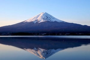 Da Tokyo: Tour in autobus della quinta stazione del Monte Fuji e del lago Kawaguchi