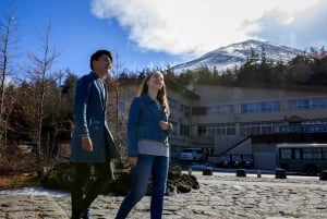 Da Tokyo: Tour in autobus della quinta stazione del Monte Fuji e del lago Kawaguchi