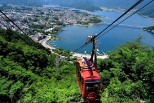 Da Tokyo: Tour in autobus della quinta stazione del Monte Fuji e del lago Kawaguchi