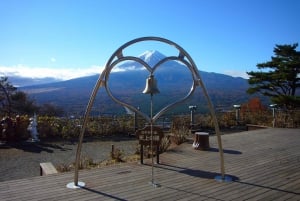 Da Tokyo: Tour in autobus della quinta stazione del Monte Fuji e del lago Kawaguchi