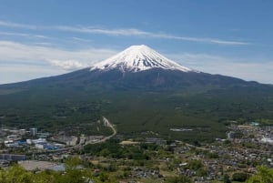 Da Tokyo: Tour in autobus della quinta stazione del Monte Fuji e del lago Kawaguchi