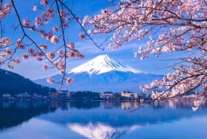 Da Tokyo: Tour in autobus della quinta stazione del Monte Fuji e del lago Kawaguchi