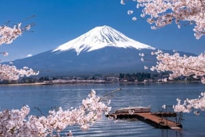 Da Tokyo: Tour in autobus della quinta stazione del Monte Fuji e del lago Kawaguchi