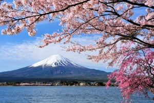 Da Tokyo: Tour in autobus della quinta stazione del Monte Fuji e del lago Kawaguchi