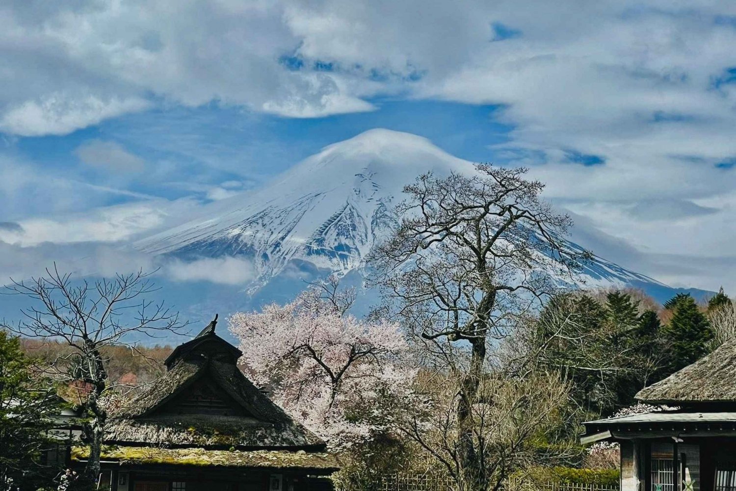 Da Tokyo: Tour privato del Monte Fuji personalizzabile di un giorno intero