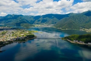 Desde Tokio: excursión de un día personalizable al monte Fuji y Gotemba.