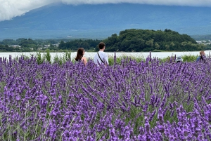 Desde Tokio: excursión de un día personalizable al monte Fuji y Gotemba.