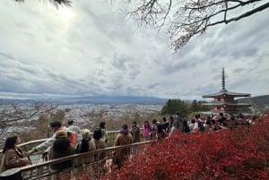 Desde Tokio: excursión de un día personalizable al monte Fuji y Gotemba.
