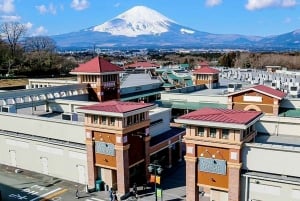 Desde Tokio: excursión de un día personalizable al monte Fuji y Gotemba.
