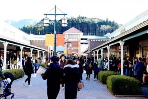 Desde Tokio: excursión de un día personalizable al monte Fuji y Gotemba.