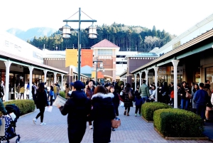 Desde Tokio: excursión de un día personalizable al monte Fuji y Gotemba.