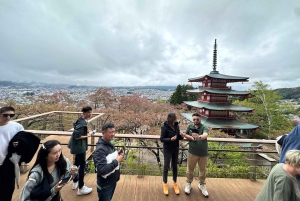 Fra Tokyo: Mt. Fuji & Gotemba privat tilpasset dagsudflugt.