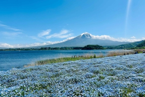 Fra Tokyo: Mt. Fuji & Gotemba privat tilpasset dagsudflugt.
