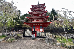 Fra Tokyo: Mt. Fuji & Gotemba privat tilpasset dagsudflugt.