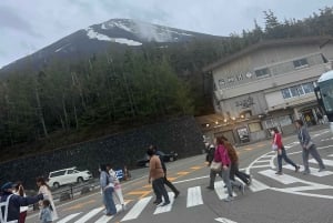 Tokio: prywatna wycieczka na górę Fuji i do Hakone z angielskojęzycznym kierowcą