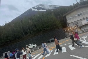 Tokio: prywatna wycieczka na górę Fuji i do Hakone z angielskojęzycznym kierowcą