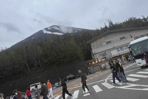 Tokio: prywatna wycieczka na górę Fuji i do Hakone z angielskojęzycznym kierowcą