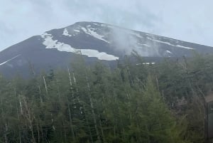 Tokio: prywatna wycieczka na górę Fuji i do Hakone z angielskojęzycznym kierowcą