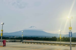 Tokio: prywatna wycieczka na górę Fuji i do Hakone z angielskojęzycznym kierowcą