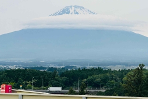 Tokio: prywatna wycieczka na górę Fuji i do Hakone z angielskojęzycznym kierowcą