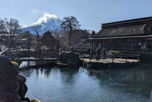 From Tokyo: Mt. Fuji & Hakone Tour w/ Return by Bullet Train