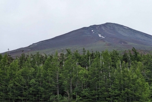 From Tokyo: Mt. Fuji & Hakone Tour w/ Return by Bullet Train