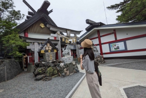 From Tokyo: Mt. Fuji & Hakone Tour w/ Return by Bullet Train