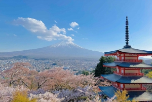 Z Tokio: Całodniowa wycieczka na górę Fuji godna Instagrama