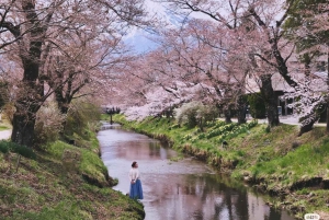 Z Tokio: Całodniowa wycieczka na górę Fuji godna Instagrama