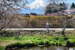 Z Tokio: Całodniowa wycieczka na górę Fuji godna Instagrama