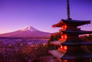 From Tokyo: Mt.Fuji, Lake Kawaguchi, Oshino Hakkai Day Tour