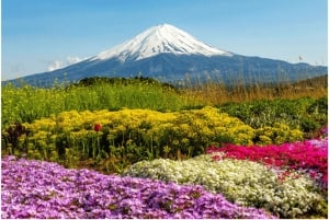 From Tokyo: Mt.Fuji, Lake Kawaguchi, Oshino Hakkai Day Tour
