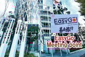 From Tokyo: Mt.Fuji, Lake Kawaguchi, Oshino Hakkai Day Tour