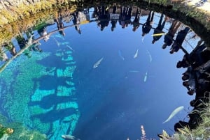 Depuis Tokyo : Excursion d'une journée au Mont Fuji, au lac Kawaguchi et à Oshino Hakkai