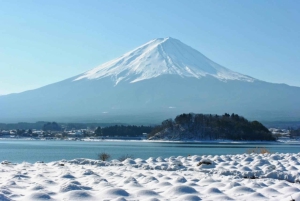 Depuis Tokyo : Excursion d'une journée au Mont Fuji, au lac Kawaguchi et à Oshino Hakkai