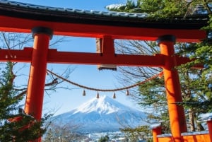 Depuis Tokyo : Excursion d'une journée au Mont Fuji, au lac Kawaguchi et à Oshino Hakkai