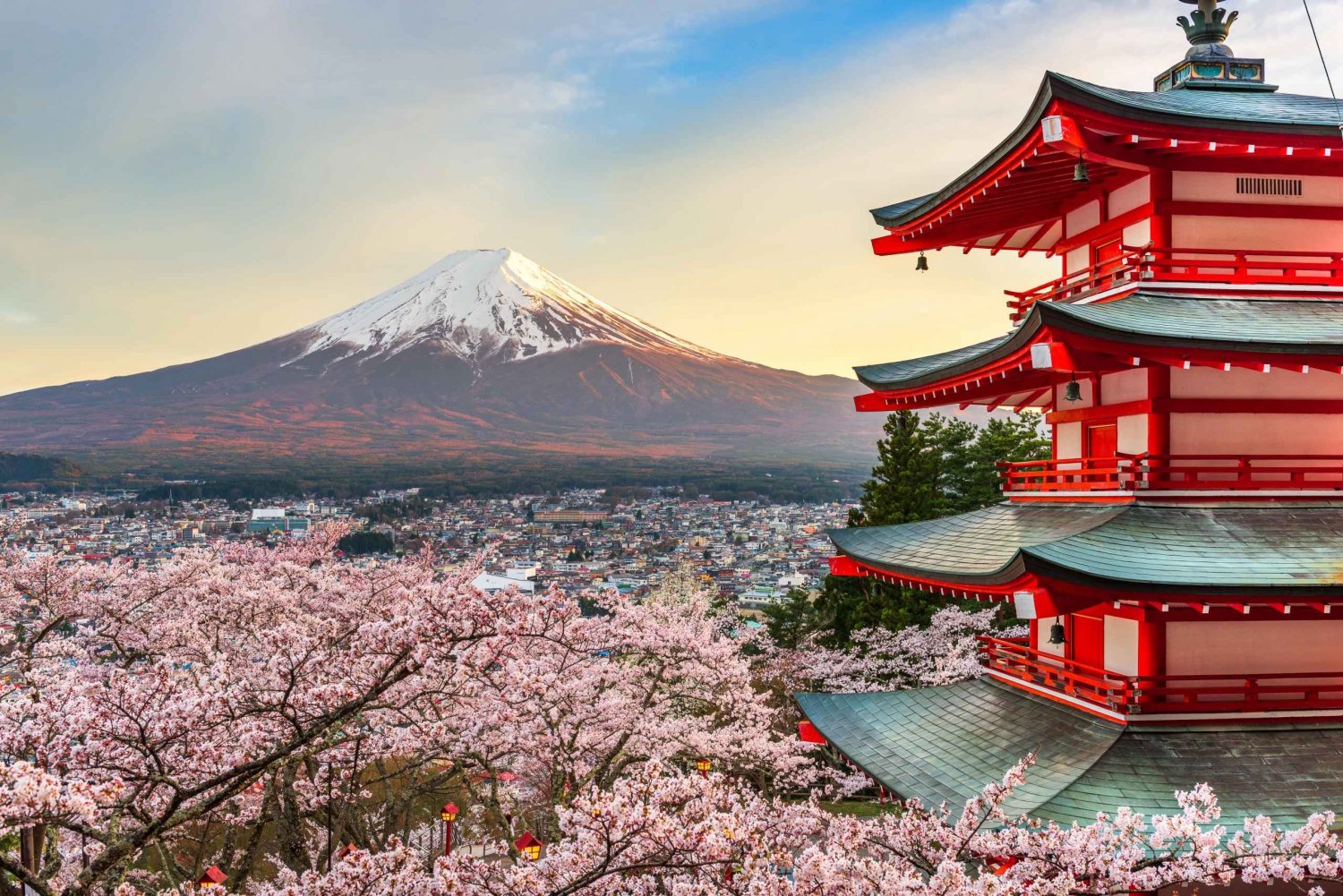 Da Tokyo: tour privato personalizzabile di un giorno sul Monte Fuji