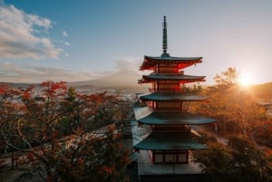 東京発：富士山 1日カスタマイズ可能プライベートツアー