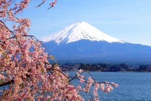 東京発：富士山 1日カスタマイズ可能プライベートツアー
