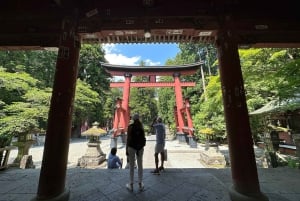 東京発：富士山 1日カスタマイズ可能プライベートツアー