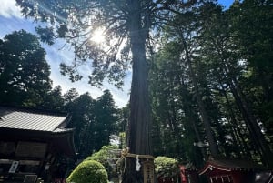 東京発：富士山 1日カスタマイズ可能プライベートツアー
