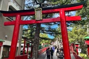 東京発：富士山 1日カスタマイズ可能プライベートツアー
