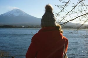 From Tokyo: Mt. Fuji or Hakone Sightseeing Private Day Tour