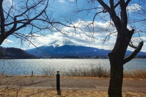 From Tokyo: Mt. Fuji or Hakone Sightseeing Private Day Tour