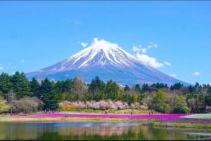 From Tokyo: Mt. Fuji or Hakone Sightseeing Private Day Tour