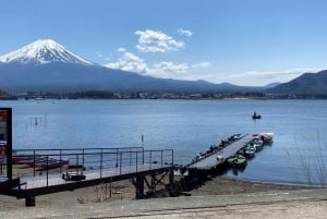 From Tokyo: Mt. Fuji or Hakone Sightseeing Private Day Tour